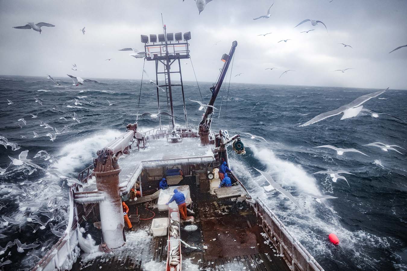 The Arctic Lady and crew, on a violent bed of waves with seagulls overhead