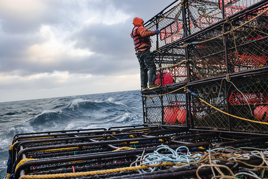 Crewmate scaling cages on the Arctic Lady