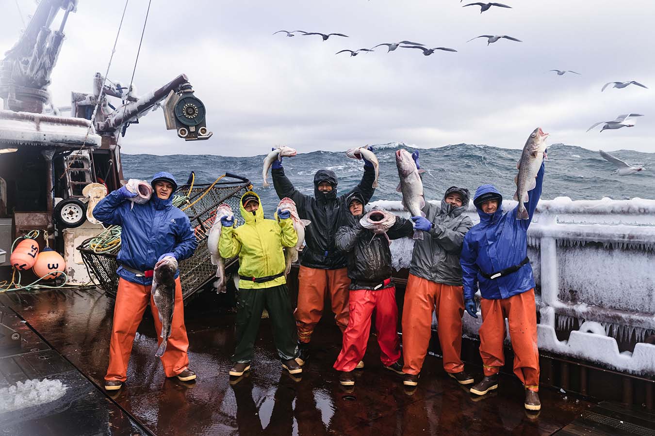 The crew and their harvest