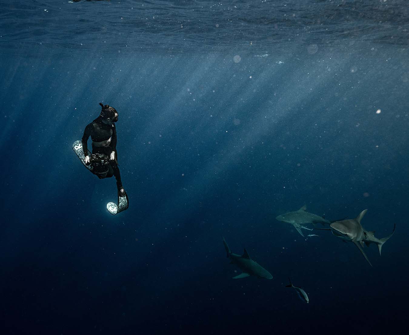 Tanner swimming away from a school of sharks