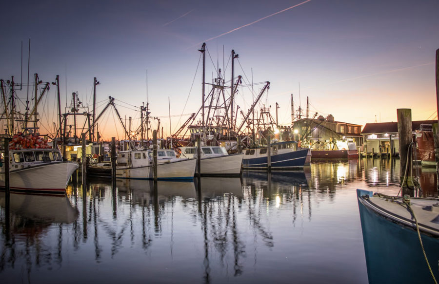 Commercial fishing dock. 