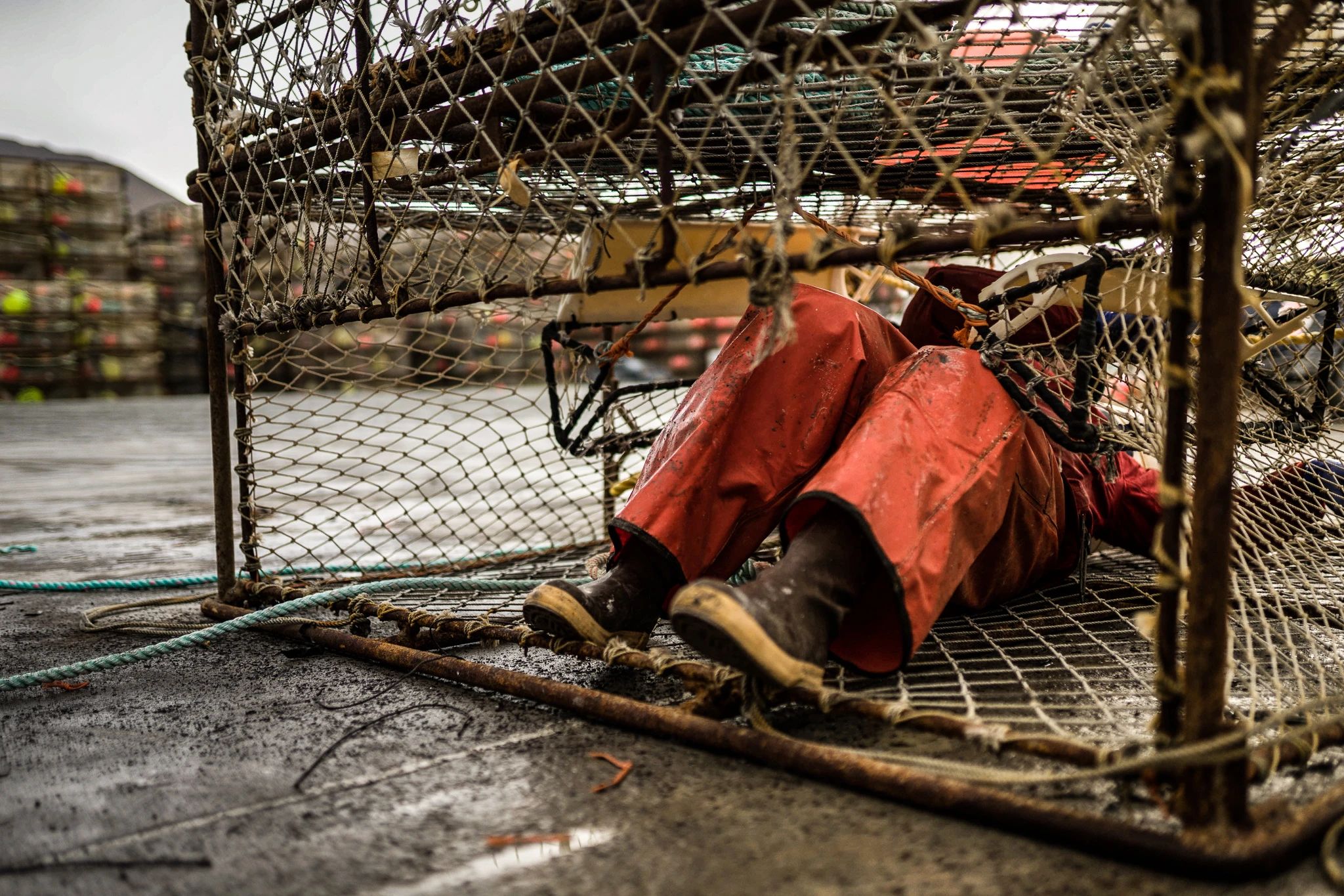 Crab Pot Alaska