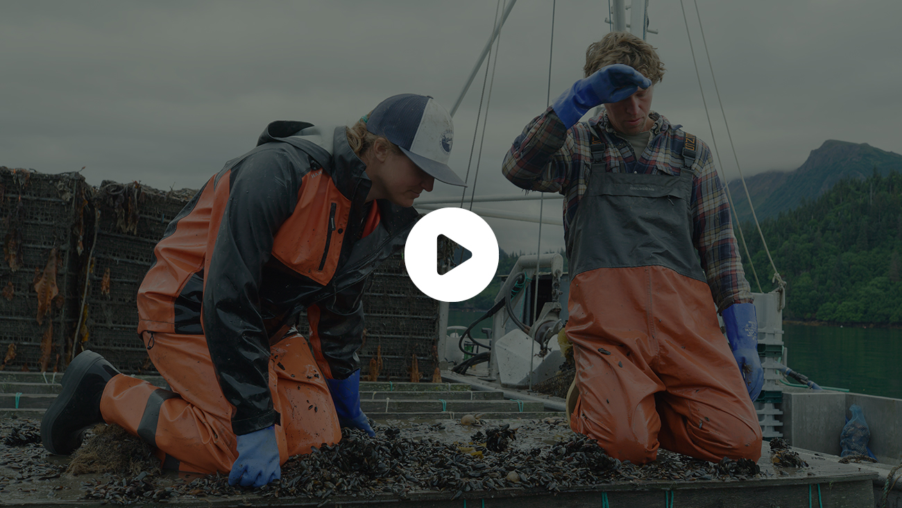 Play I AM XTRATUF - ALASKA SHELLFISH FARMS video