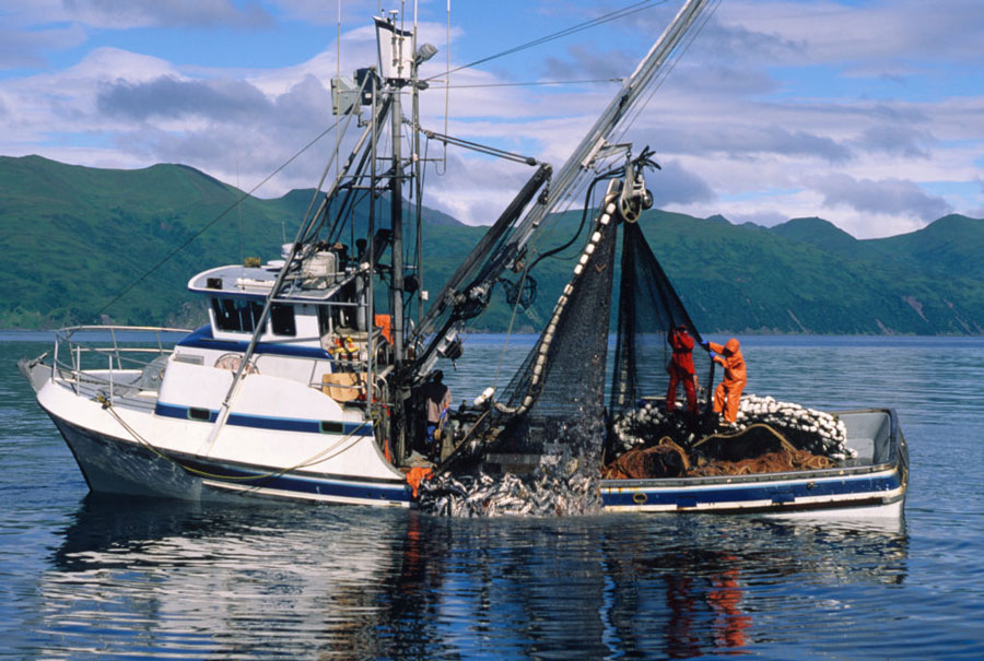 Salmon fishing boat in Alaska. 