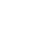 Play Icon