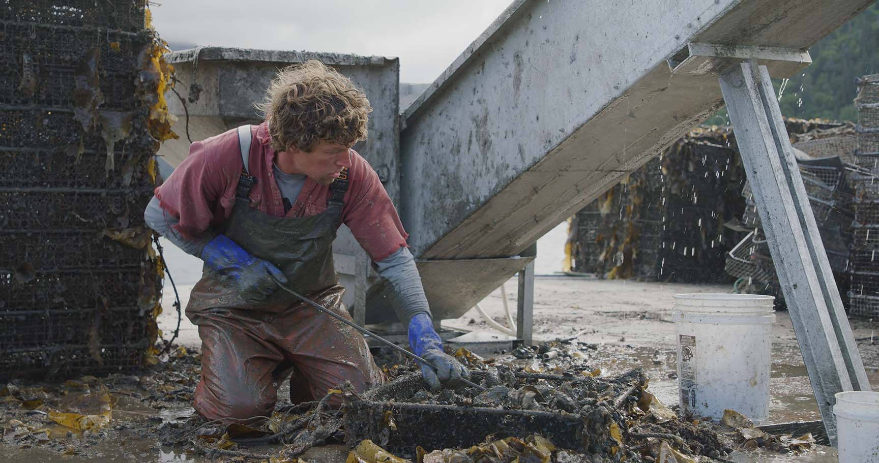 Greg Bates, in dirty rubber overalls, sifting through a net of shellfish and scum