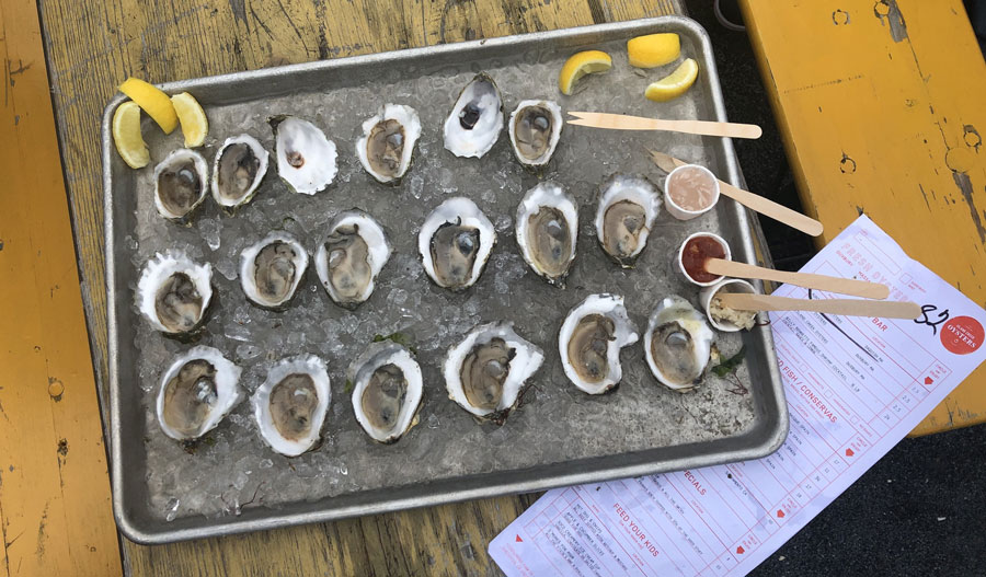 Tray of shucked oysters on ice