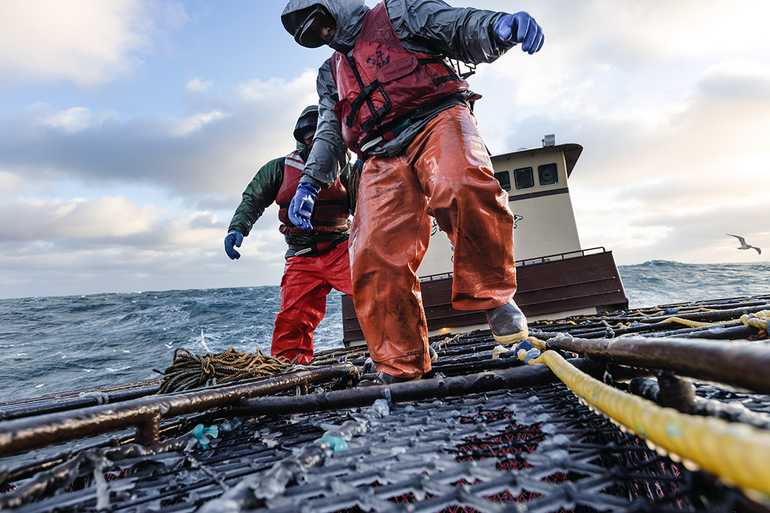 Two Crewmates stadning on top of cages