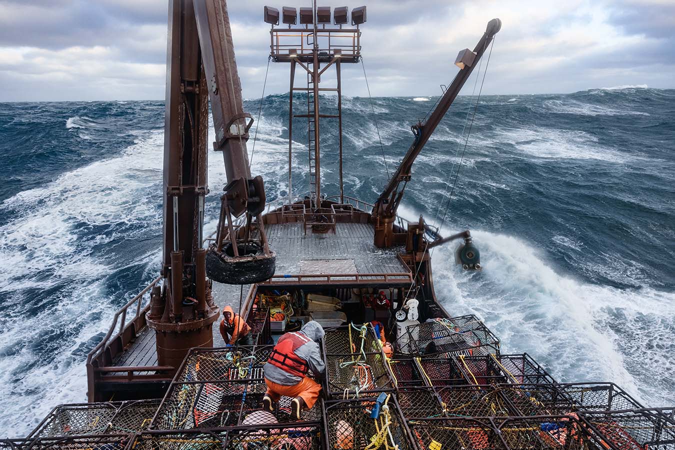 Arctic Lady and crew out at work