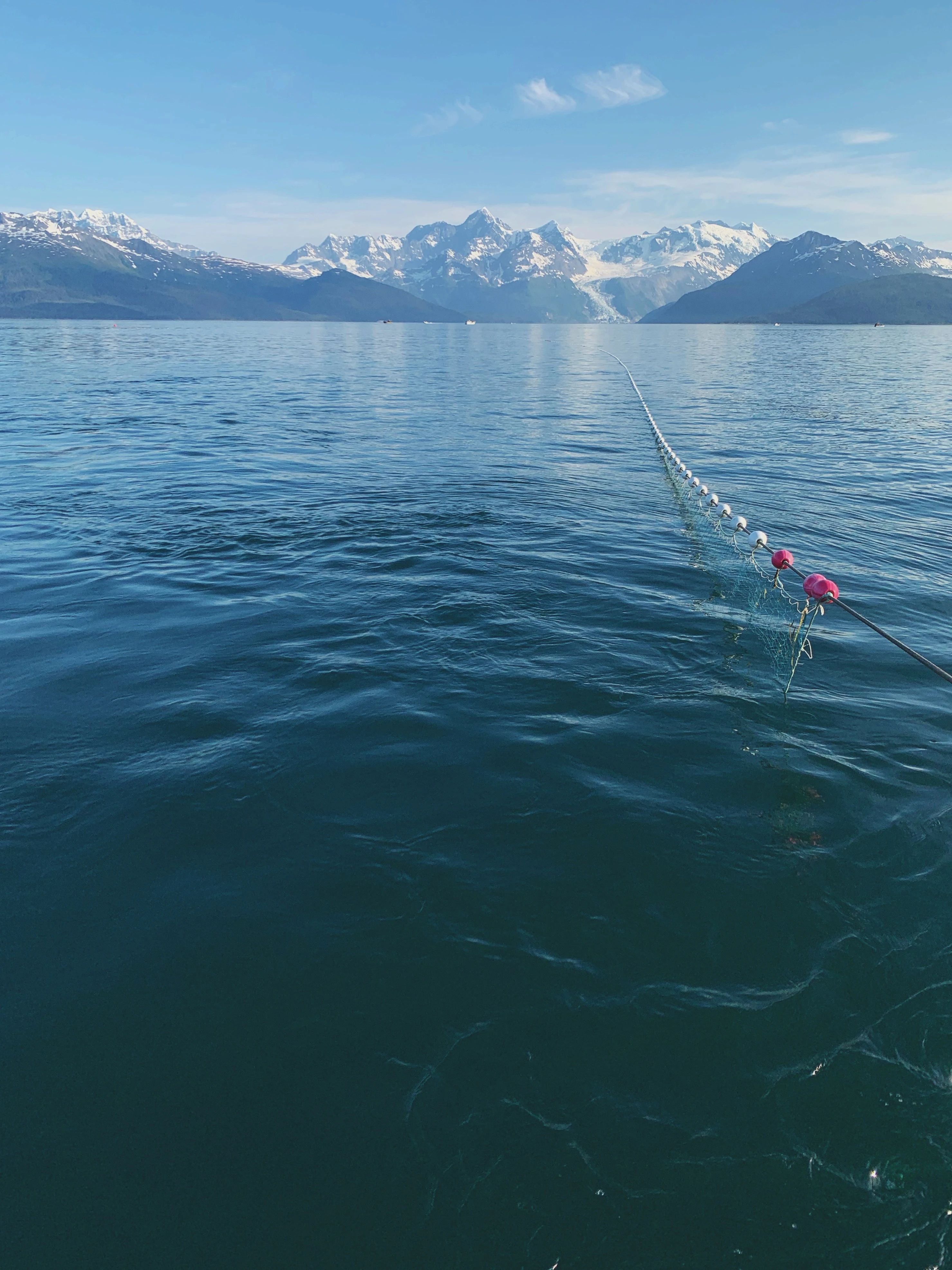 Prince William Sound